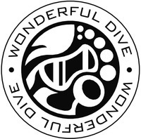 WONDERFUL DIVE