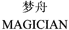MAGICIAN