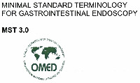 MINIMAL STANDARD TERMINOLOGY FOR GASTROINTESTINAL ENDOSCOPY MST 3.0 WORLD ORGANIZATION OF DIGESTIVE ENDOSCOPY ORGANISATI ON MONDIALE D'ENDOSCOPIE DIGESTIVE OMED