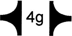 4g