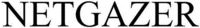 NETGAZER