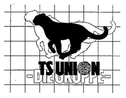 TS UNION