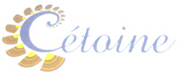 Cétoine
