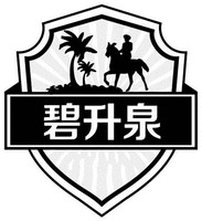 BISHENGQUAN