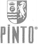 PINTO P