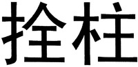 SHUAN ZHU