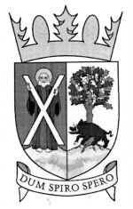DUM SPIRO SPERO