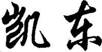 kaidong