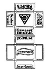 Gevaert DENTUS X-FILM