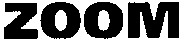 ZOOM