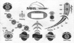 MRS 2000
