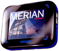 MERIAN scout