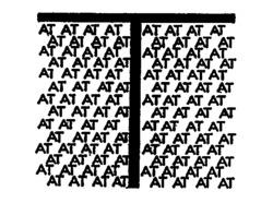 AT
