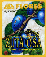 FLORES ZUTA OSA