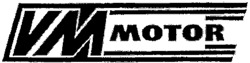 VM MOTOR