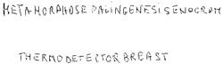 METAMORPHOSE PALINGENESI SENOCROM THERMO DETECTOR BREAST