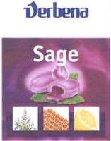 Verbena Sage