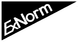 ExNorm