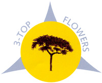 3-TOP FLOWERS