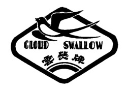 CLOUD SWALLOW