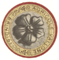 AGRICOLE VALLONE BRINDISI