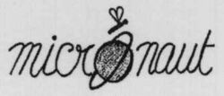 micronaut