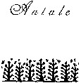 Antale