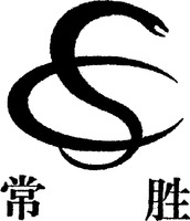 CS