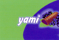 yami
