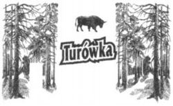Turówka