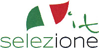 selezione it