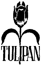 TULIPAN