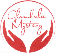 Glandula Mystery