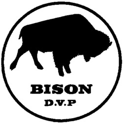 BISON