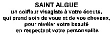 SAINT ALGUE un coiffeur visagiste à votre écoute, qui prend soin de vous et de vos cheveux, pour révéler votre beauté en respectant votre personnalité