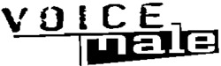 VOICE male