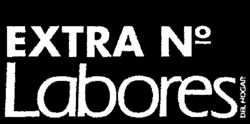 EXTRA Nº Labores DEL HOGAR