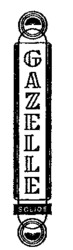 GAZELLE SOLIDE
