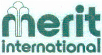merit international