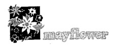 mayflower