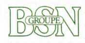 BSN GROUPE