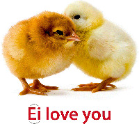 Ei love you