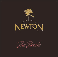 NEWTON The Puzzle