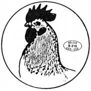 BELGIE B216 EEG CEE