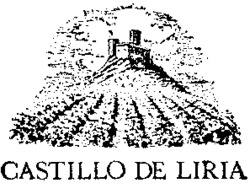 CASTILLO DE LIRIA