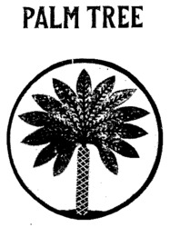 PALM TREE