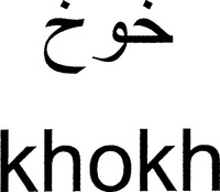 khokh