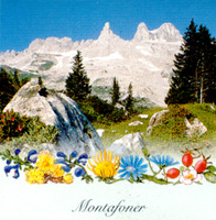Montafoner