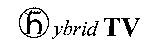 hybrid TV
