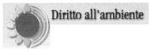 Diritto all'ambiente